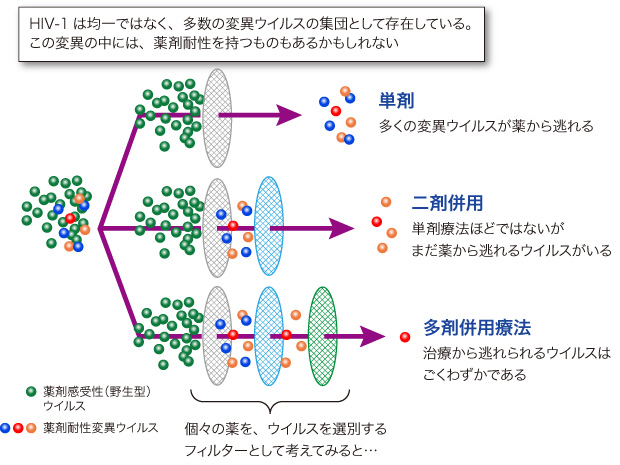 図2　薬を複数組み合わせると治療効果が高まる理由とは