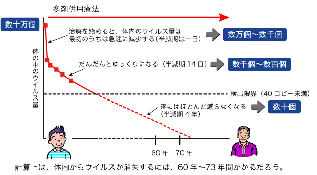 図4　体内に侵入したHIVを根絶するには、どのくらいの時間がかかるのだろうか？