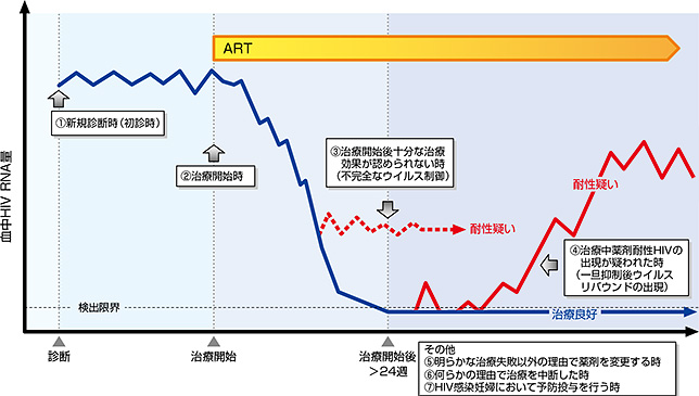 血漿中HIV-1 RNA量とCD4陽性T細胞数の変移グラフ