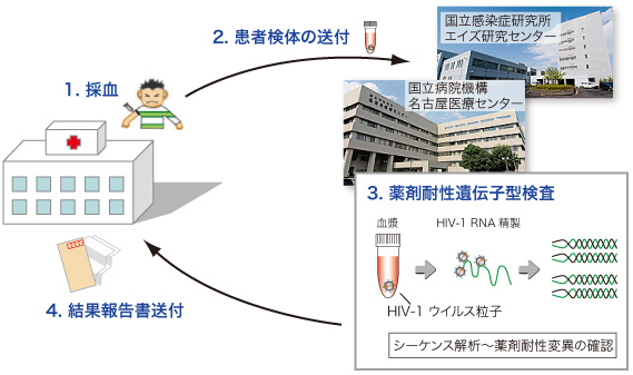 図：薬剤耐性検査の流れ図