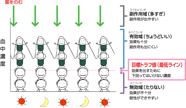 グラフ：投薬と血中濃度の関係